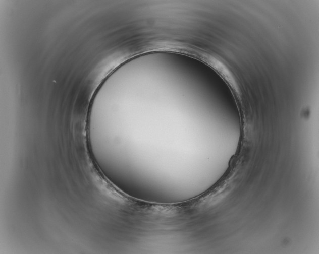 X0000090500954200707201544