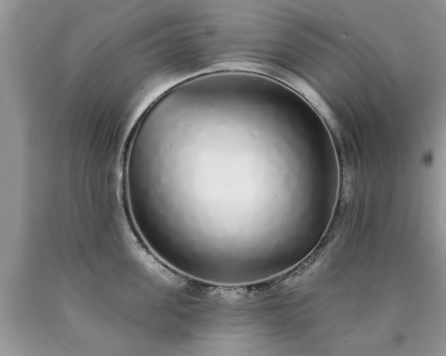 X0000090500955200707201544