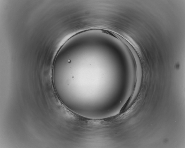 X0000090500956200707201544