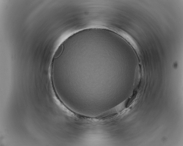 X0000090500958200707201544