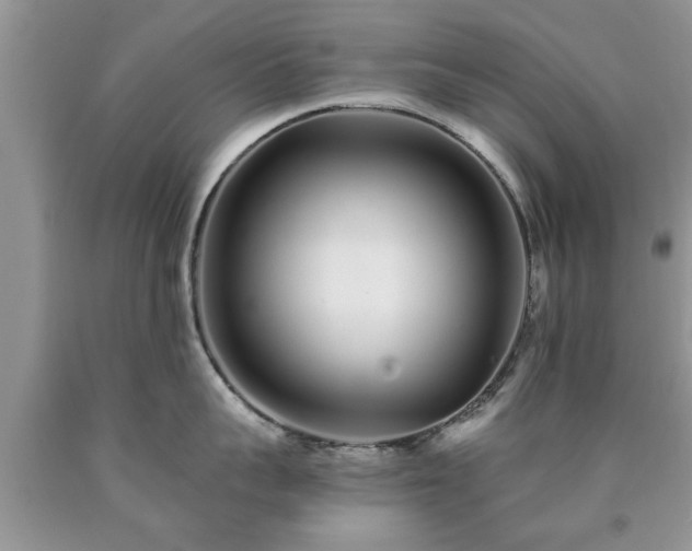 X0000090500959200707201544