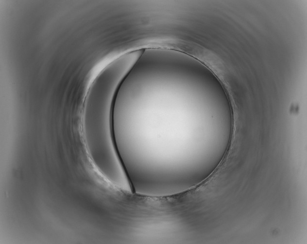X0000090500960200707201544