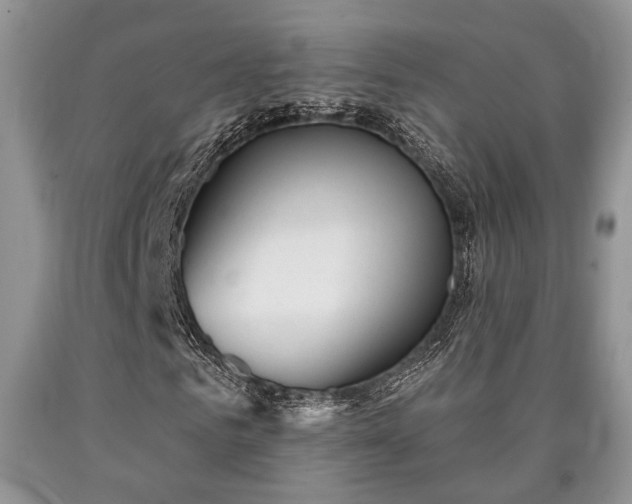 X0000090500961200707201543
