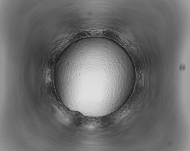 X0000090500962200707201543
