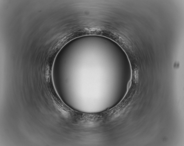 X0000090500963200707201543