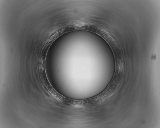 X0000090500964200707201543