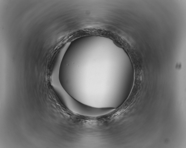 X0000090500965200707201543
