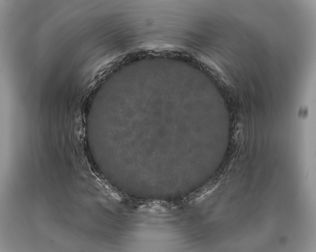 X0000090500966200707201543