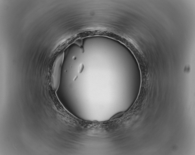 X0000090500967200707201543