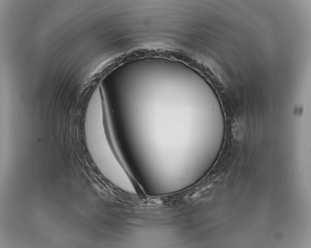 X0000090500968200707201543