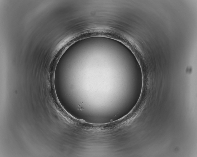 X0000090500970200707201543