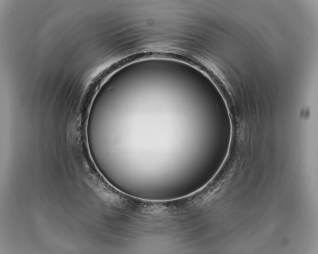 X0000090500971200707201543