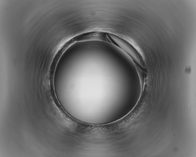 X0000090500972200707201543