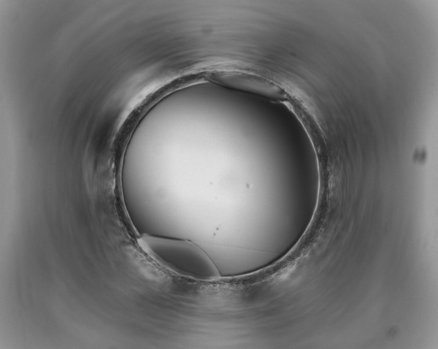 X0000090500973200707201543