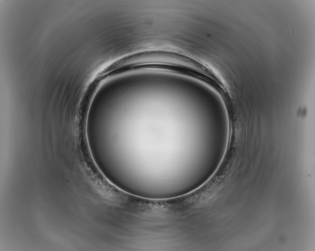 X0000090500975200707201543