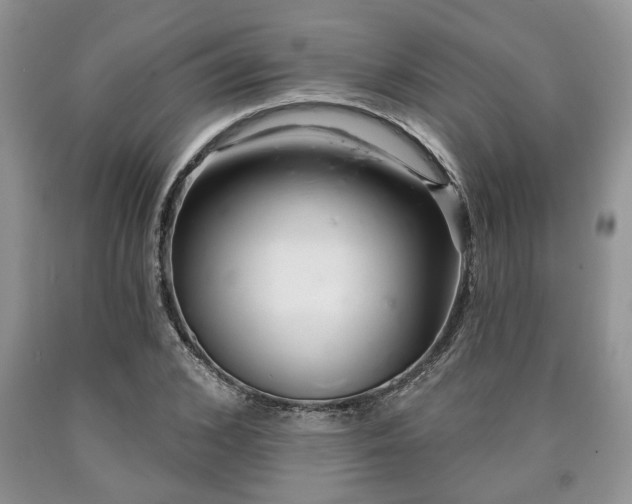 X0000090500976200707201543