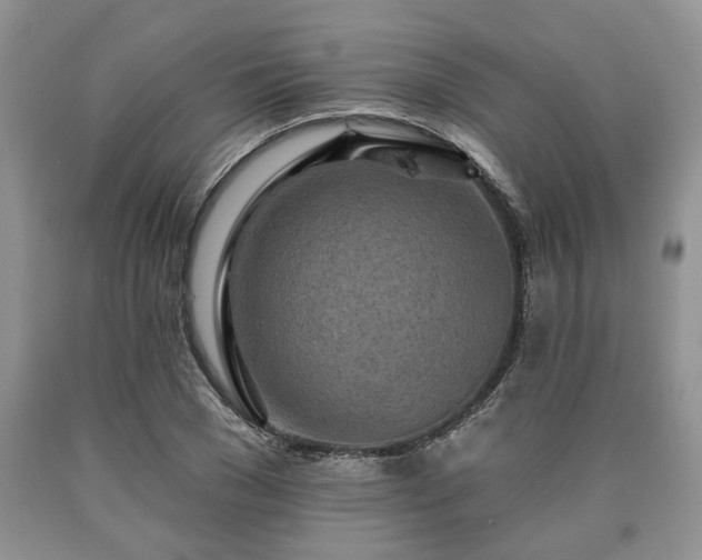 X0000090500977200707201543