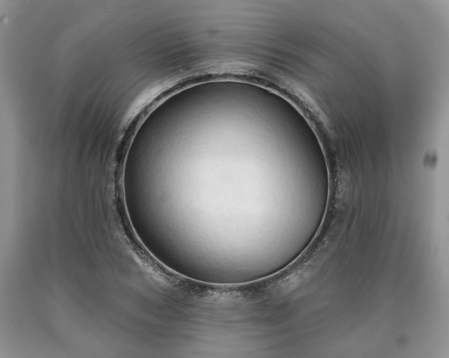 X0000090500978200707201543