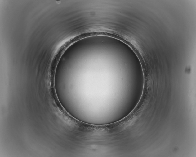 X0000090500979200707201543