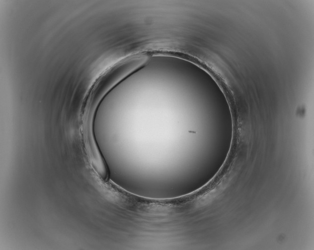X0000090500981200707201543