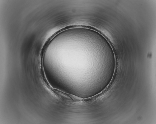 X0000090500982200707201543