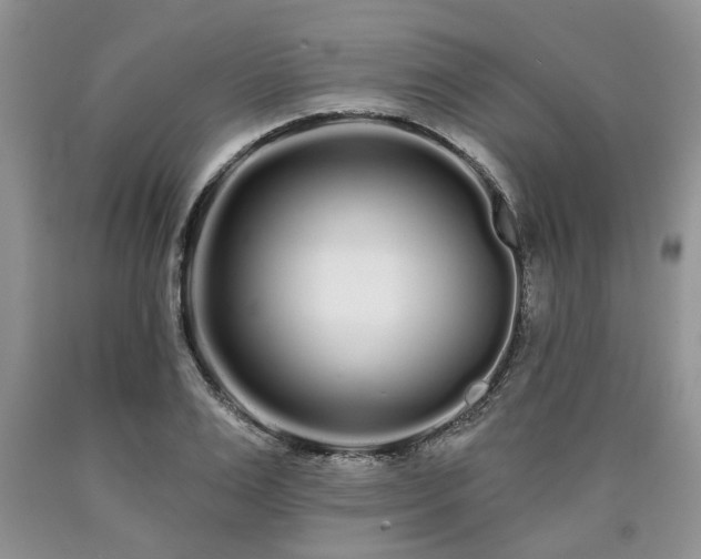 X0000090500983200707201543