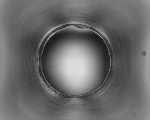 X0000090500984200707201543