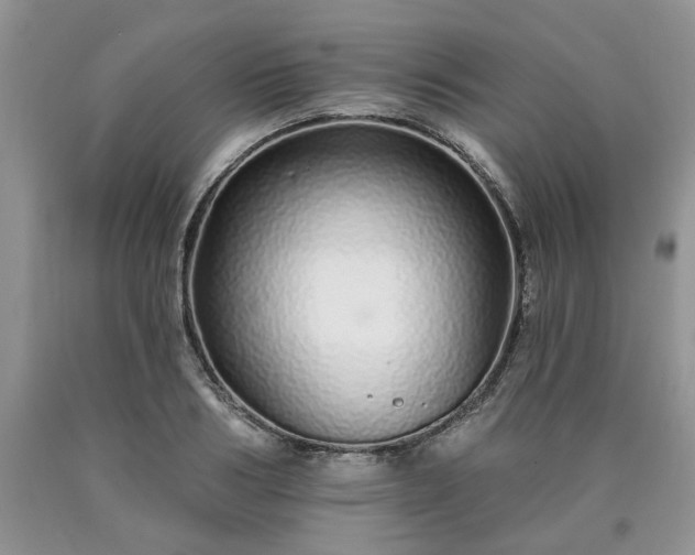 X0000090500986200707201543