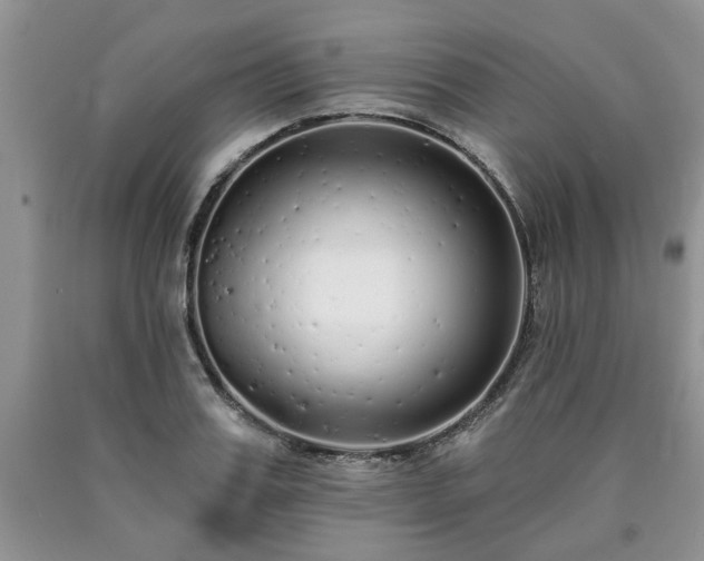 X0000090500987200707201543