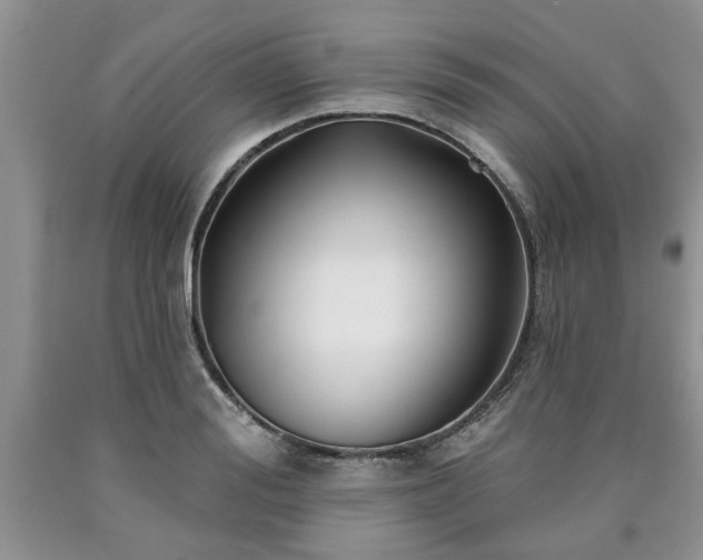 X0000090500988200707201543
