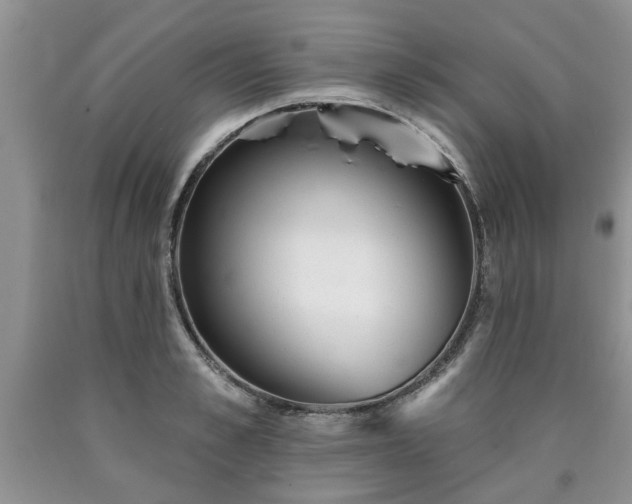 X0000090500989200707201543