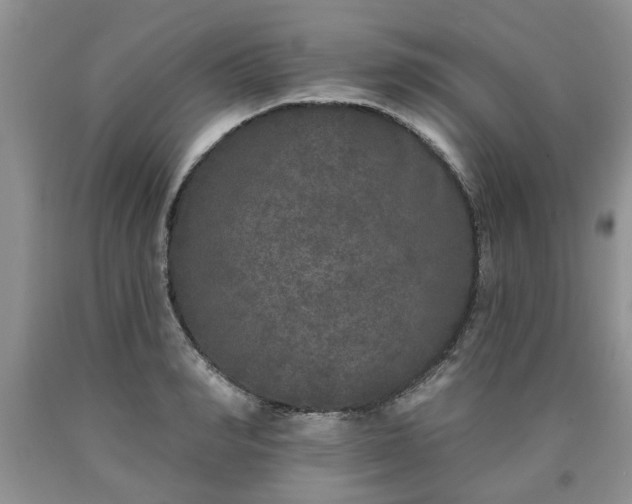 X0000090500990200707201543