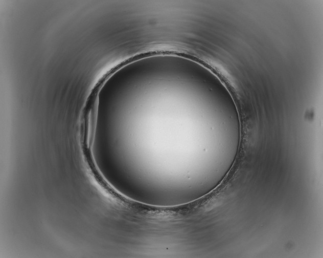 X0000090500991200707201543