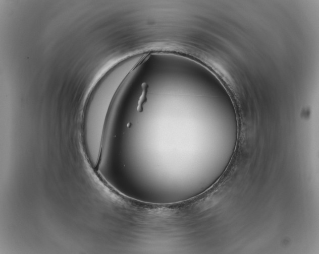 X0000090500992200707201543