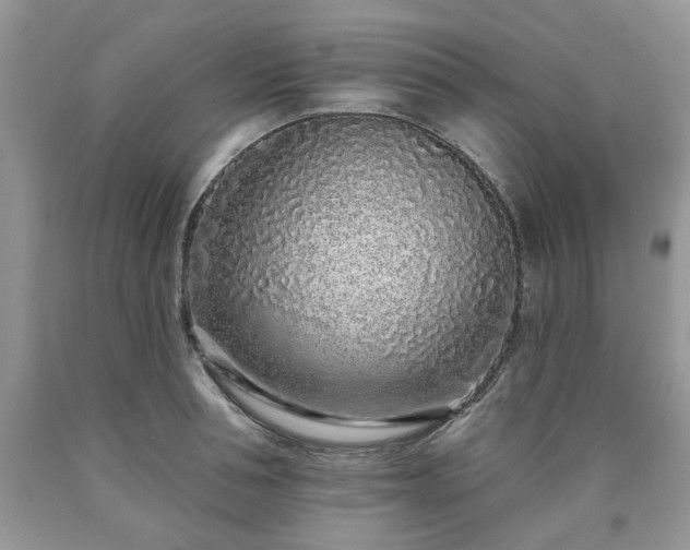 X0000090500994200707201543