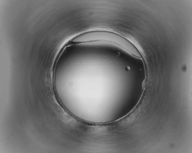 X0000090500996200707201543