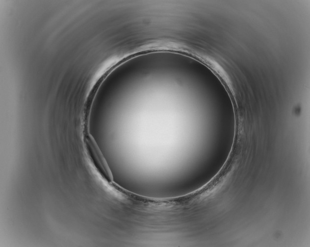 X0000090500997200707201543