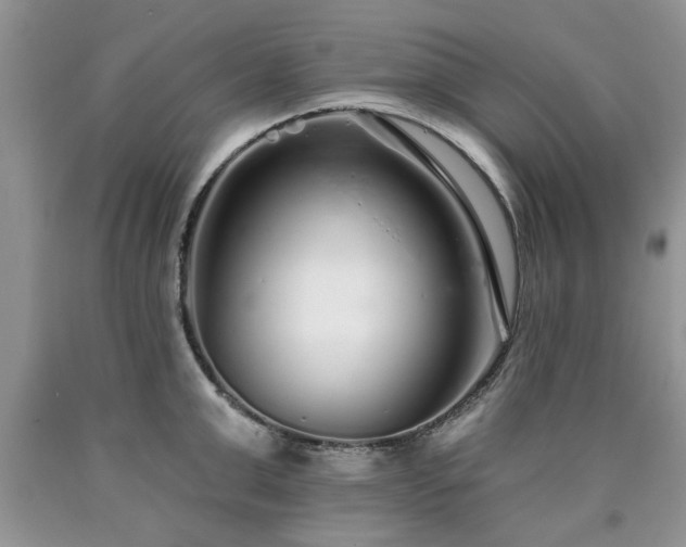 X0000090500999200707201543