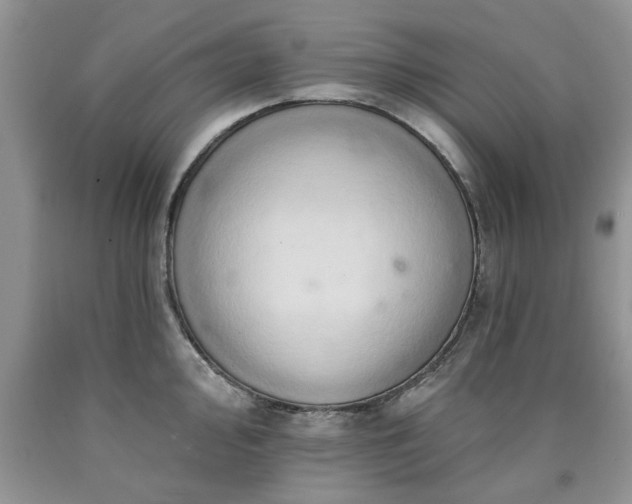 X0000090501000200707201543
