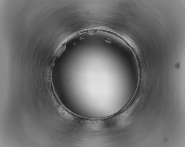 X0000090501001200707201543