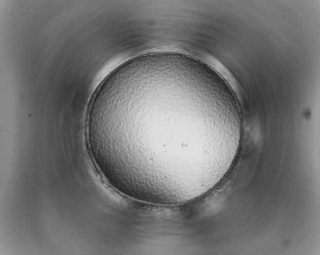 X0000090501002200707201543