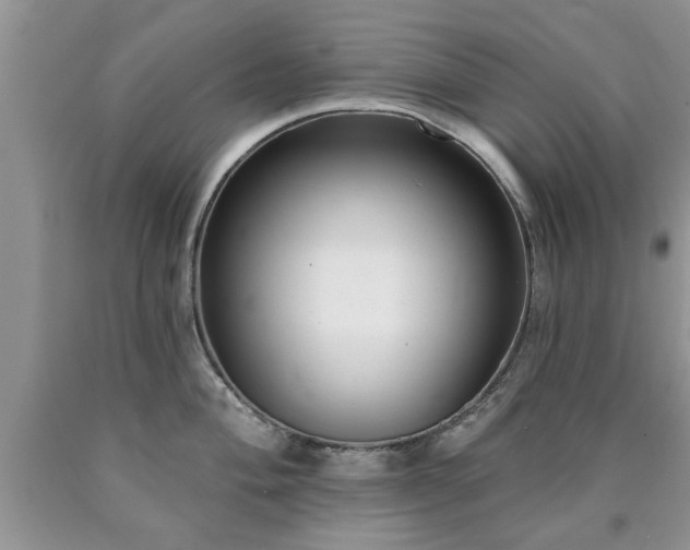 X0000090501004200707201543