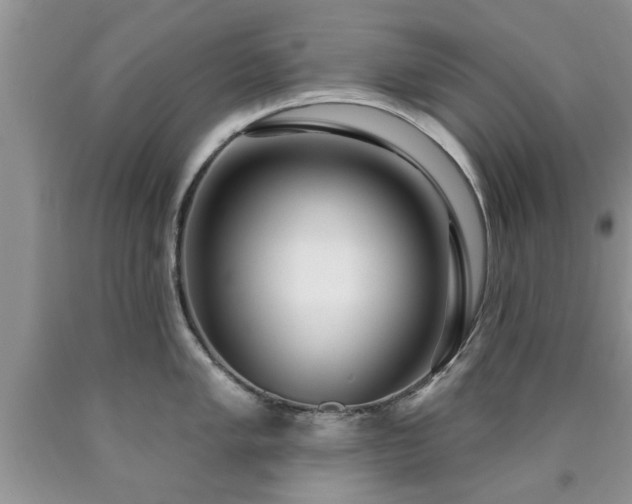 X0000090501005200707201543