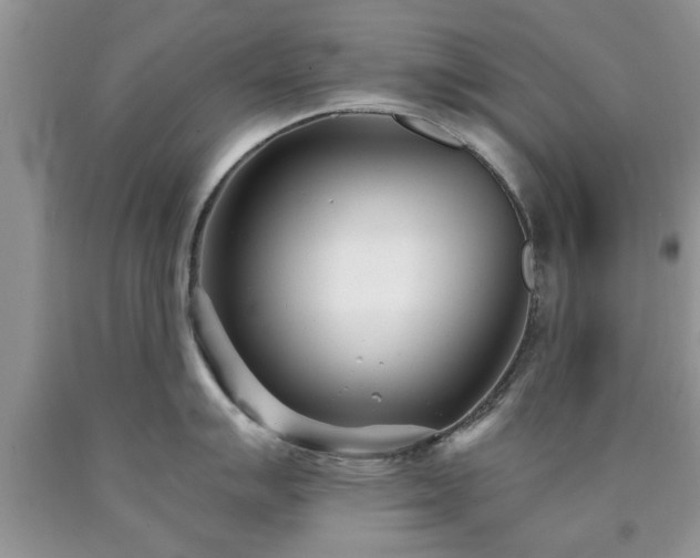 X0000090501007200707201543