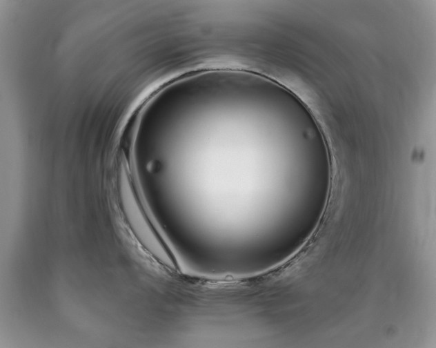 X0000090501008200707201543