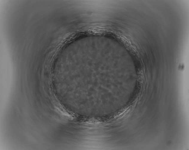 X0000090501009200707201542