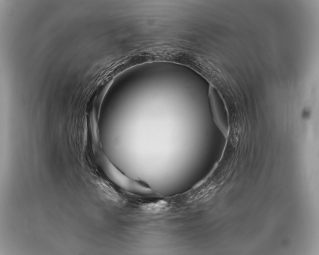 X0000090501010200707201542
