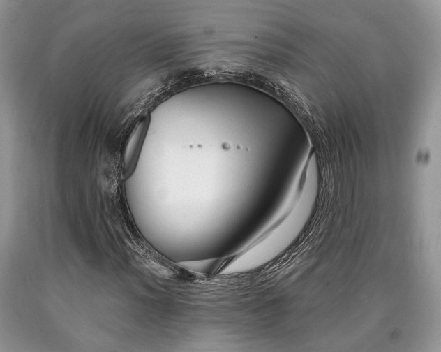 X0000090501012200707201542