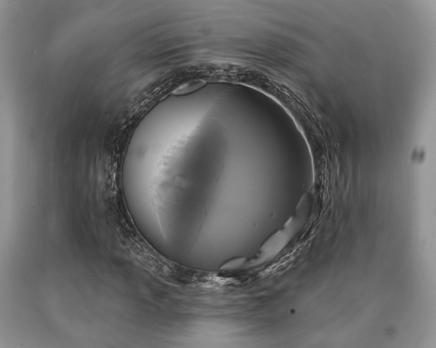 X0000090501013200707201542