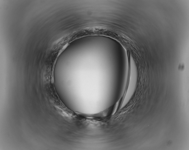 X0000090501014200707201542
